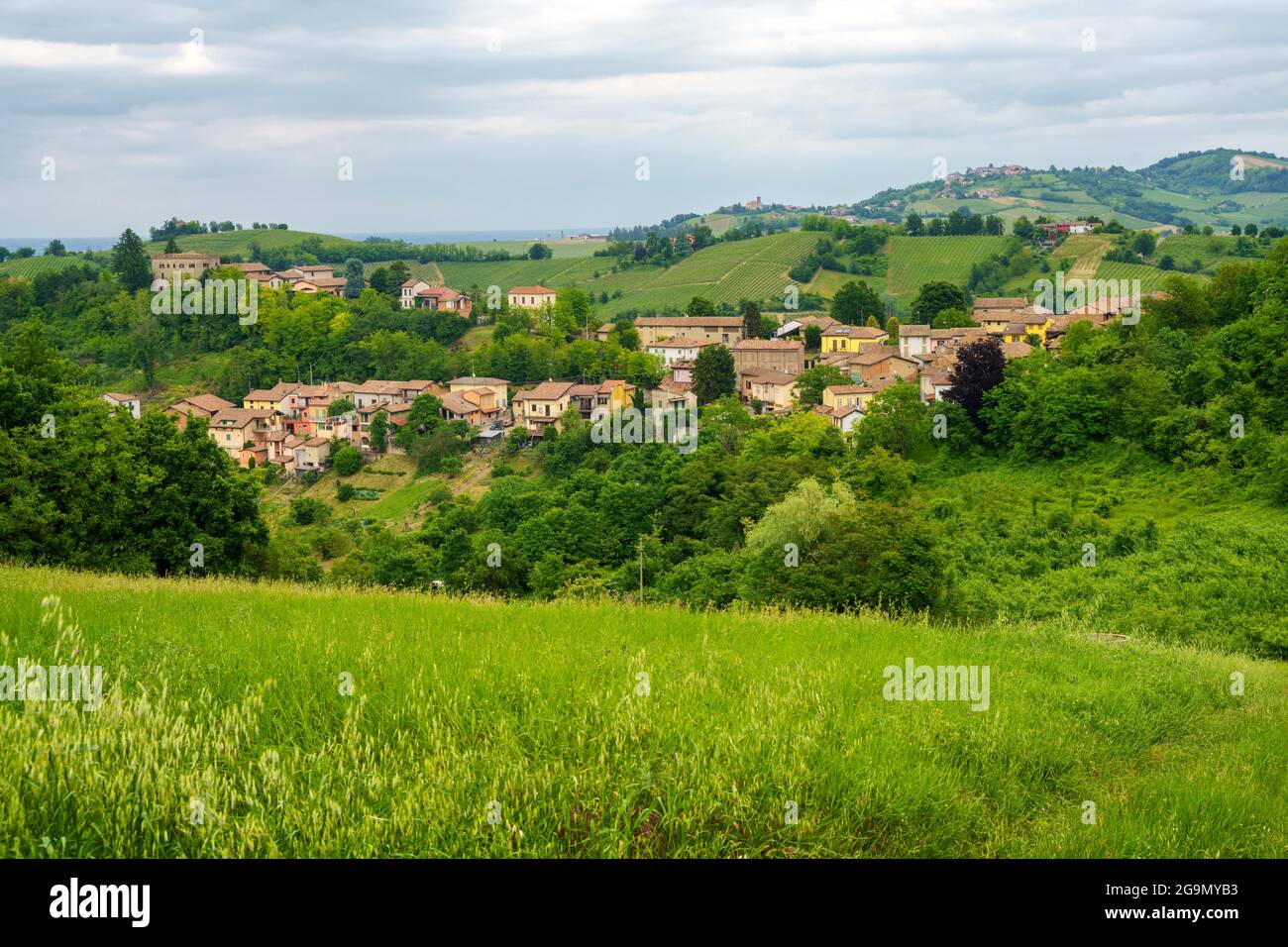 Italy Landscae Rural Vineyards in Oltrepo Pavese, Lombardy, Italy. Rural landscape at ...