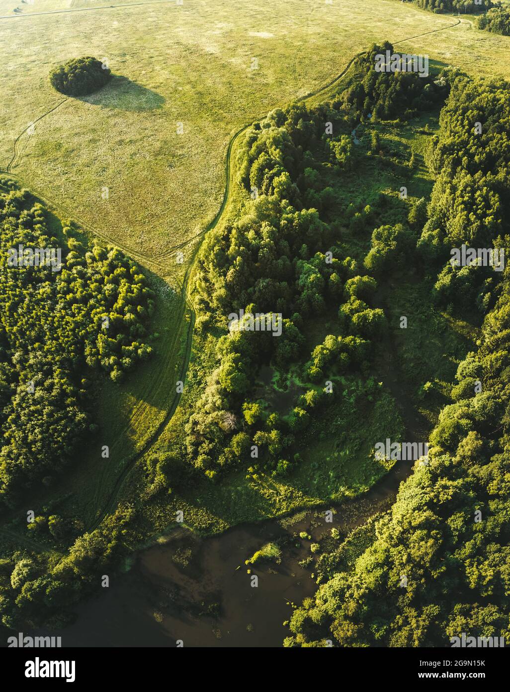 Overhead view of green trees and field. Aerial photography. Shot from drone. Summer landscape Stock Photo
