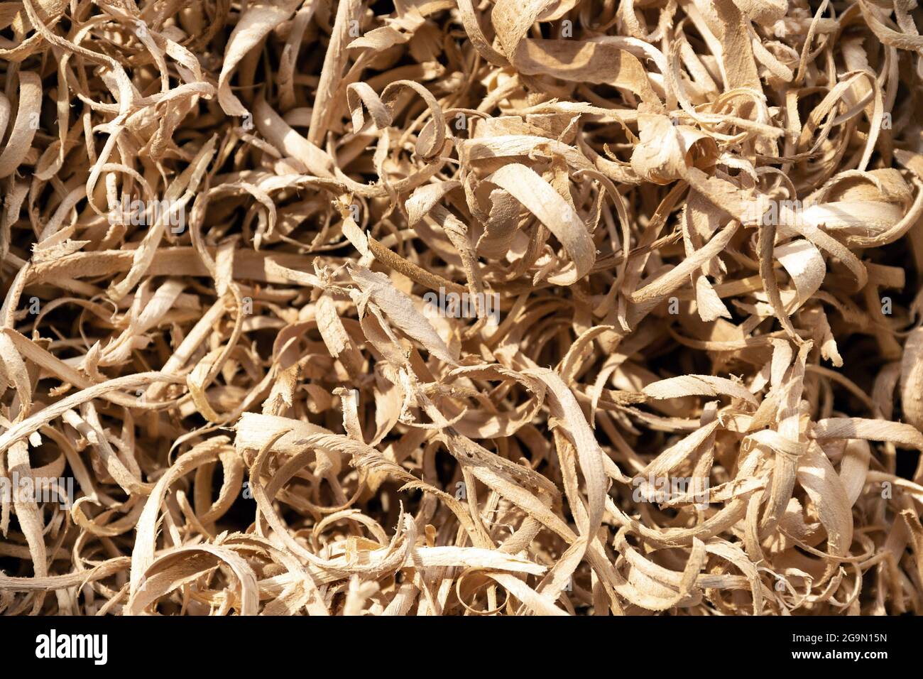 Closeup od wood shavings in a carpentry workshop Stock Photo
