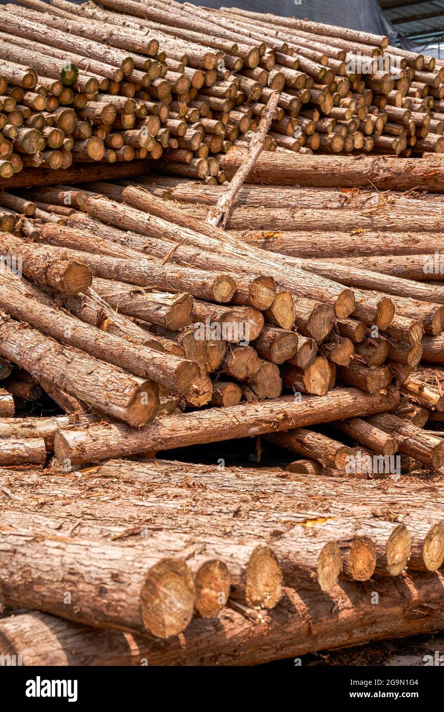 What Does Yard Lumber Mean at Daniel Giles blog