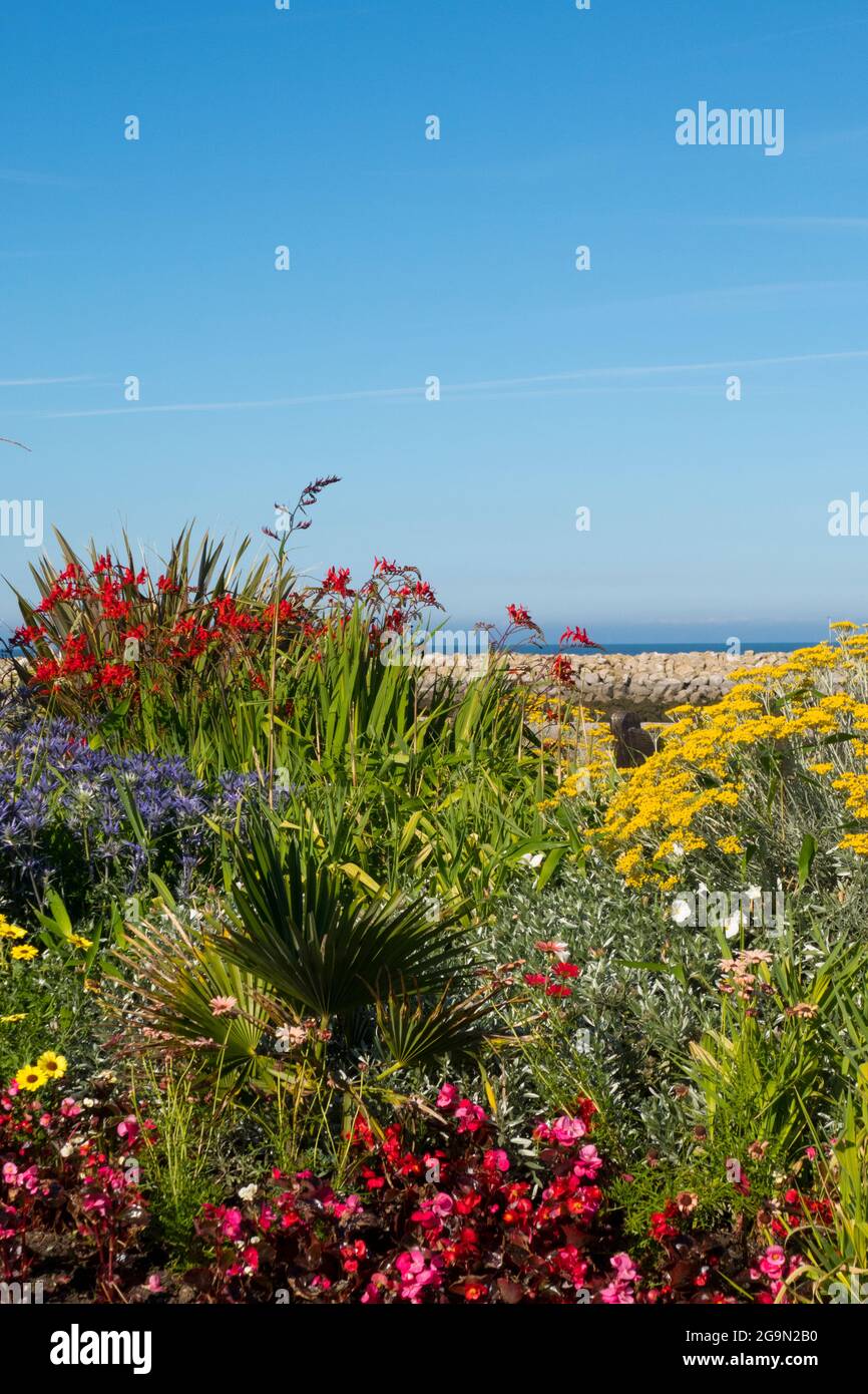 Rhos on sea Wales garden Stock Photo Alamy
