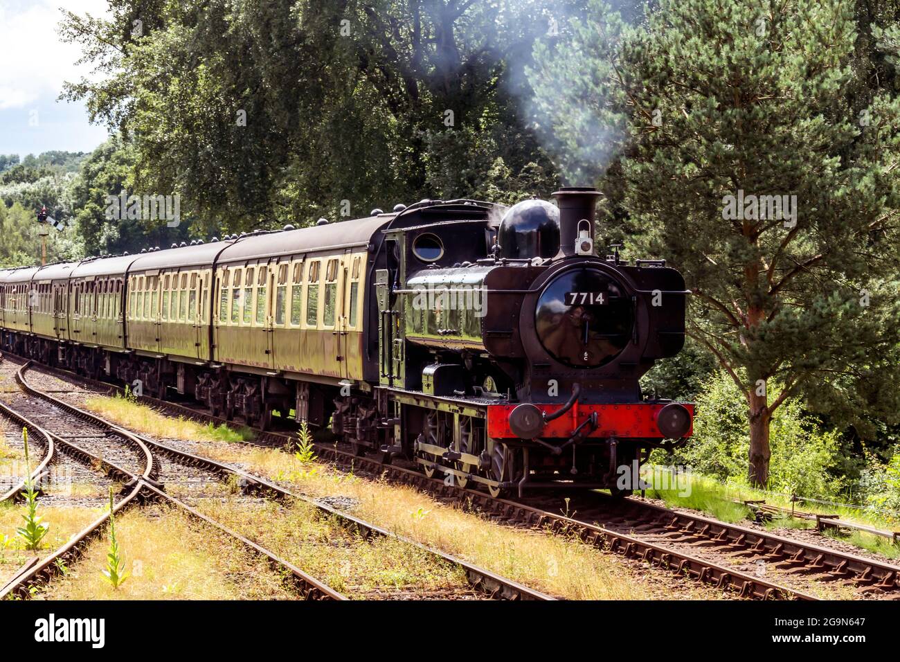 GWR Pannier tank locomotive 7714 heading a passenger train on the Severn Valley Railway Shropshire Stock Photo