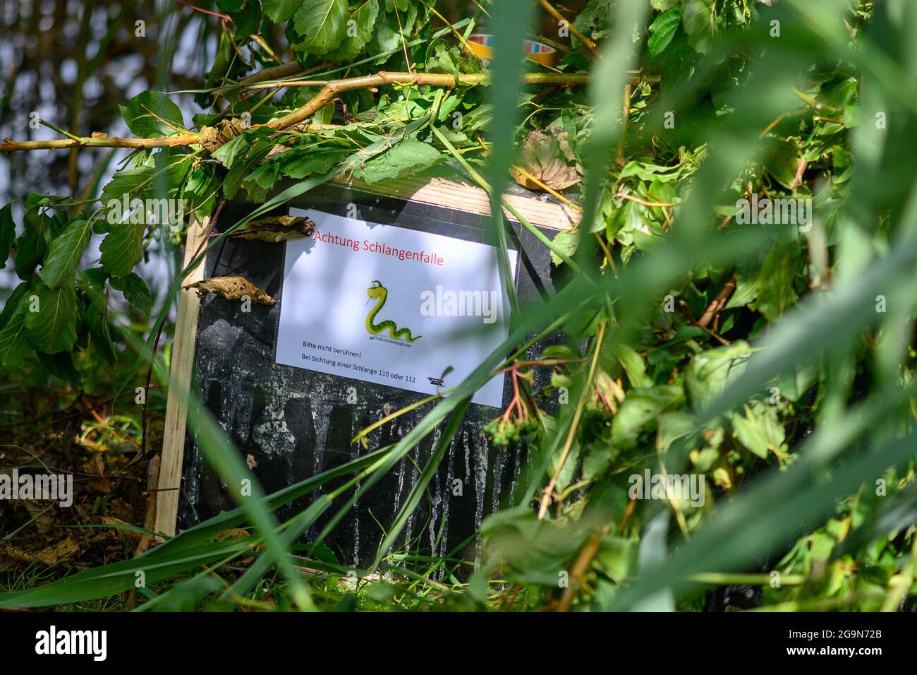 Haldensleben, Germany. 27th July, 2021. A box with the inscription  "Attention snake trap" and "Please do not touch! If you see a snake, call  110 or 112" stands in the reeds. The