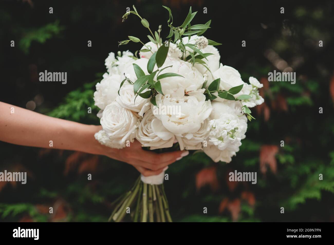 White bridal bouquet of peonies and roses. Scenery for the wedding ...