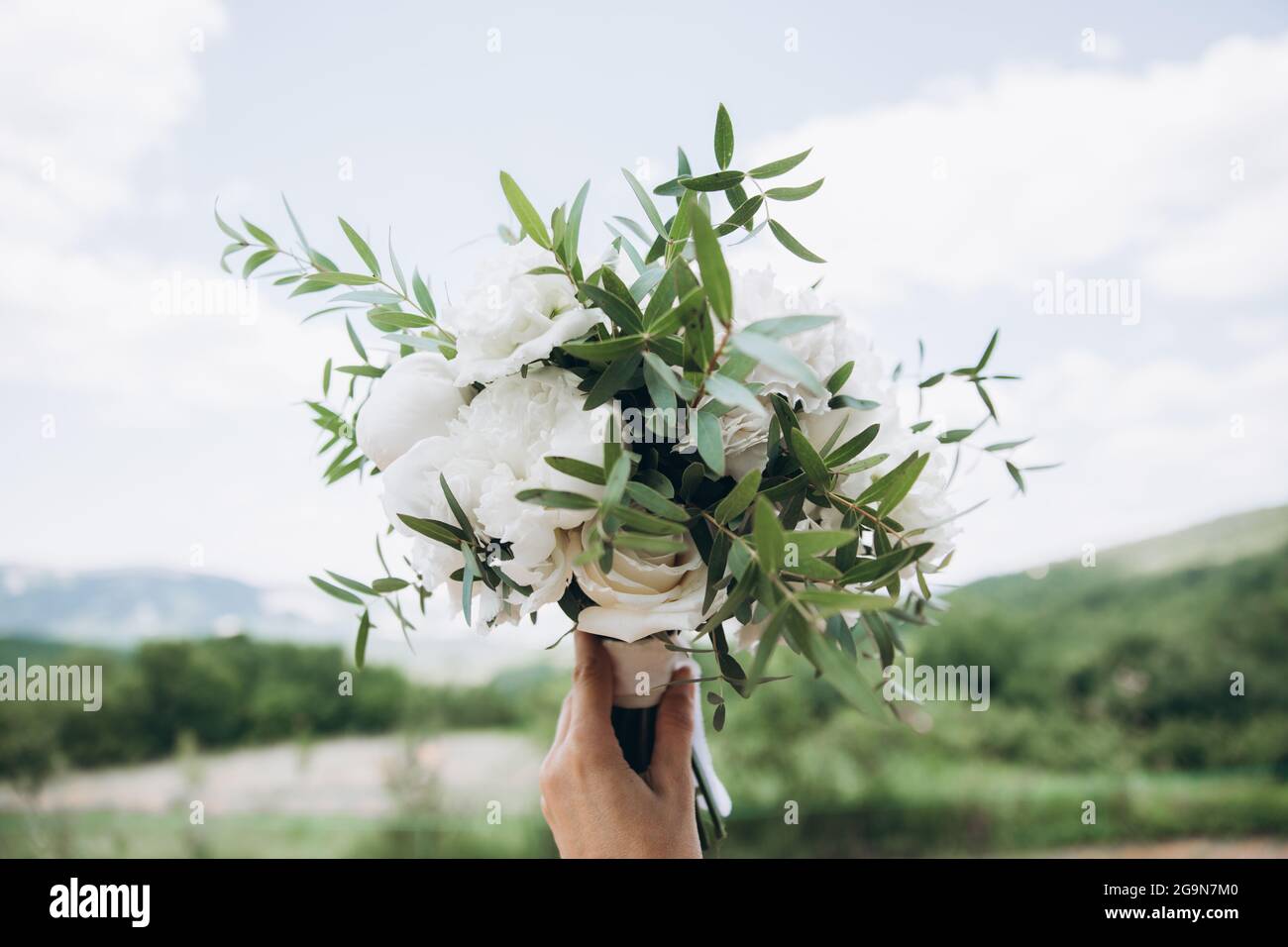 White bridal bouquet of peonies and roses. Scenery for the wedding ...