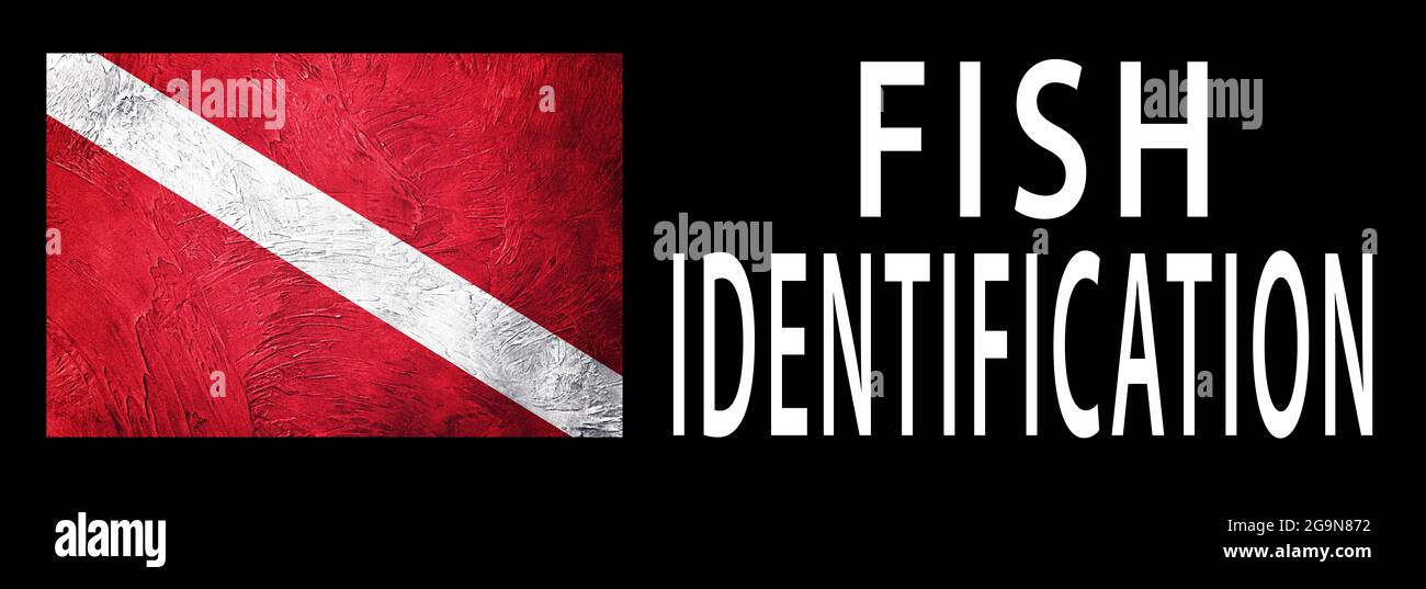Fish Identification, Diver Down Flag, Scuba flag, Scuba Diving Stock