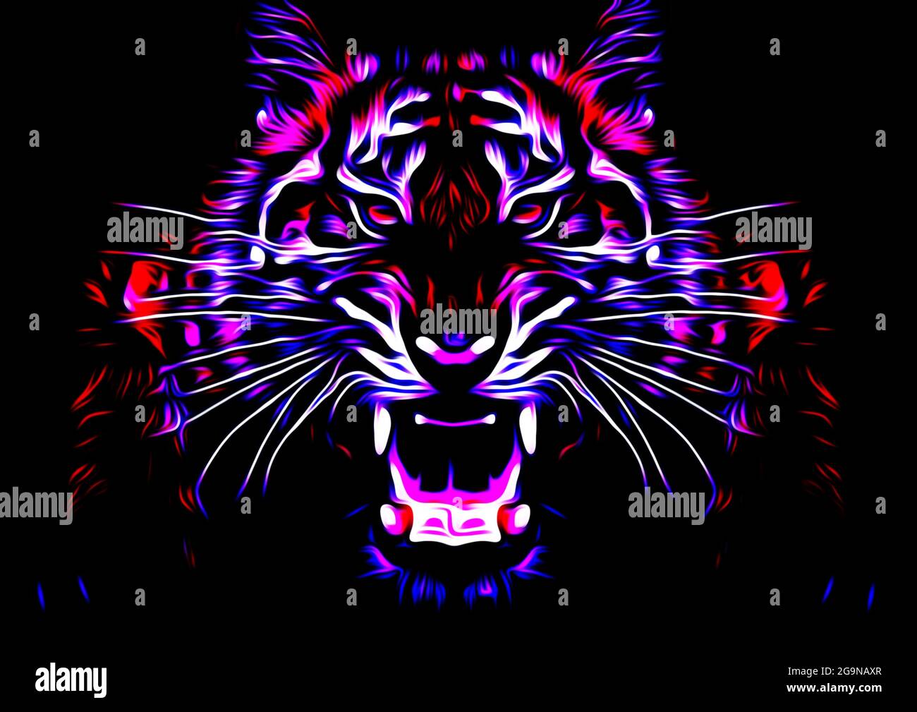 Wild Tiger Wallpapers Broken Panda