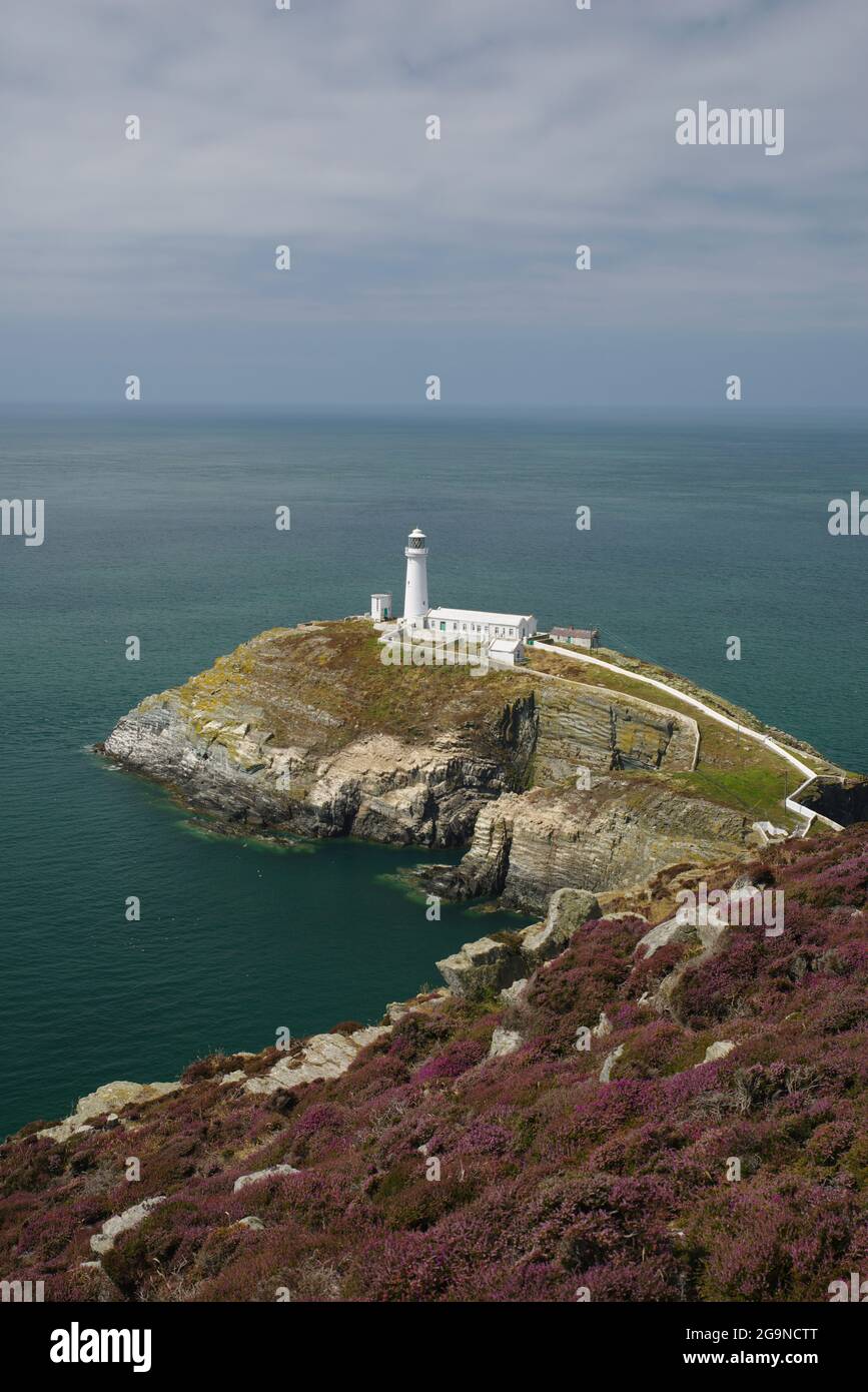 South Stack Lighthouse, Anglesey Stock Photo Alamy