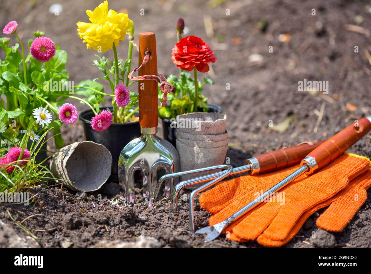 Spring Garden Tools Gardening tools and spring flowers in the garden. Gardening concept ...