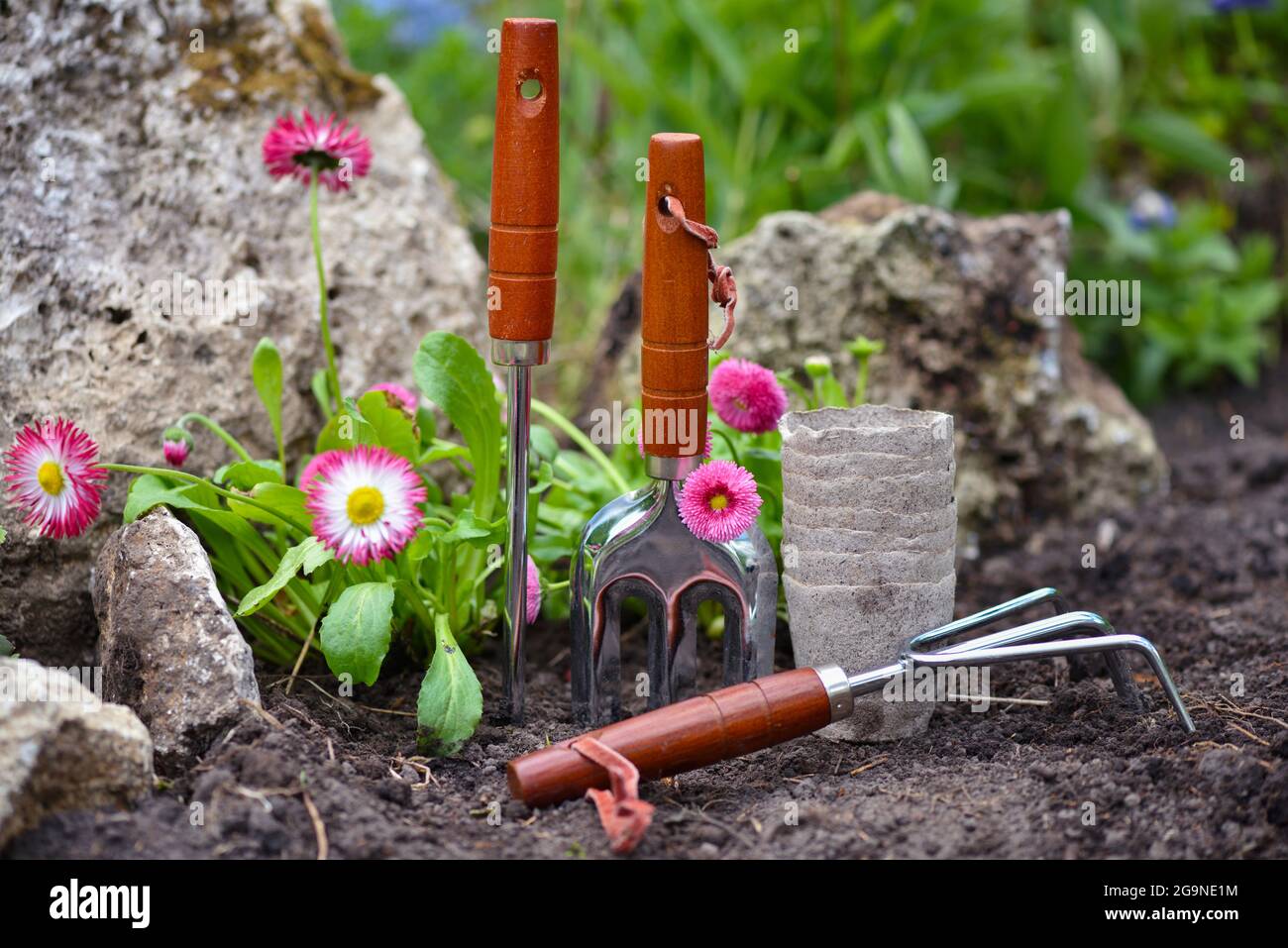 Spring Garden Tools Gardening tools and spring flowers in the garden. Gardening concept ...