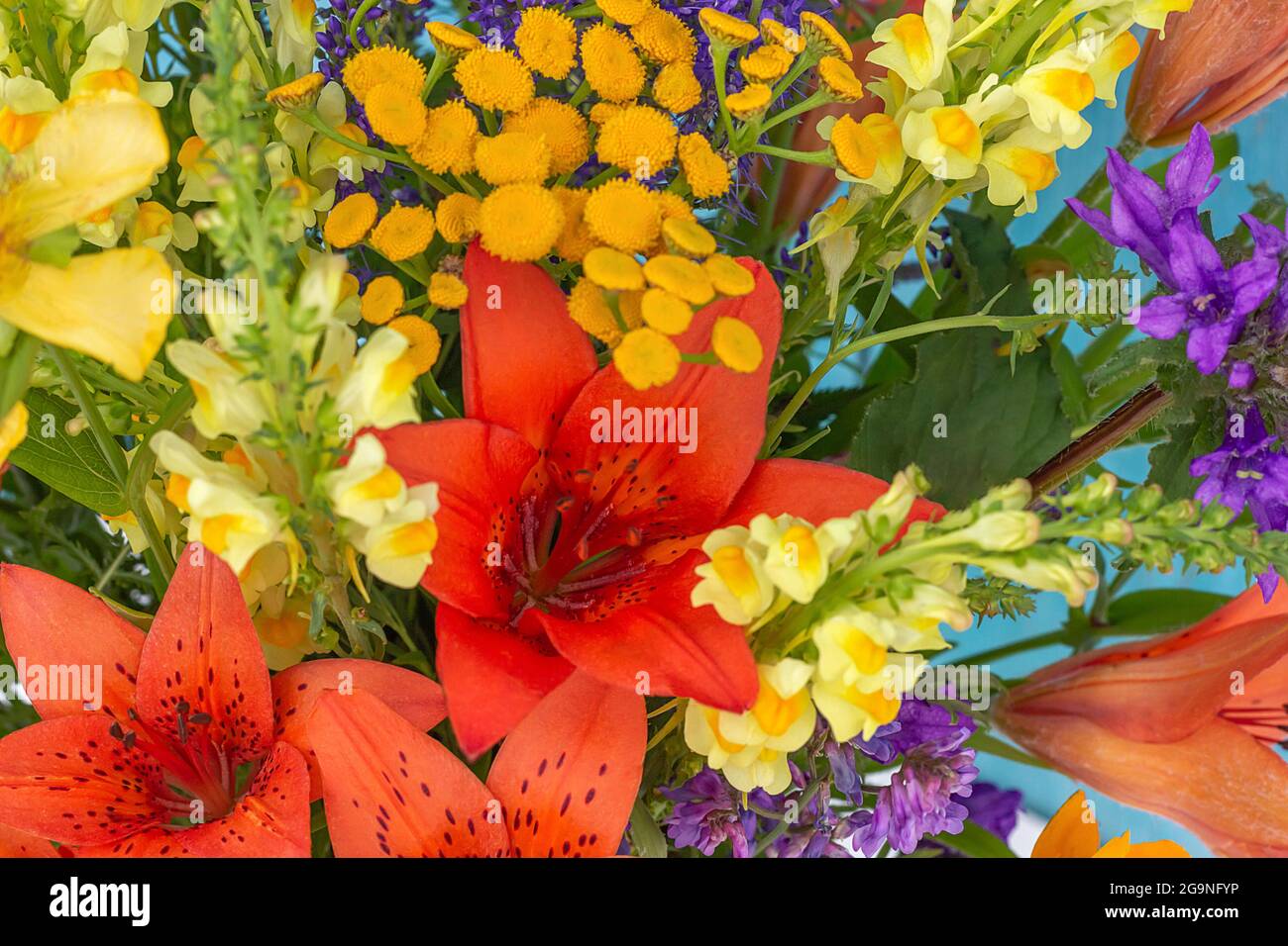 Bright wild flowers closeup as summer background Stock Photo - Alamy