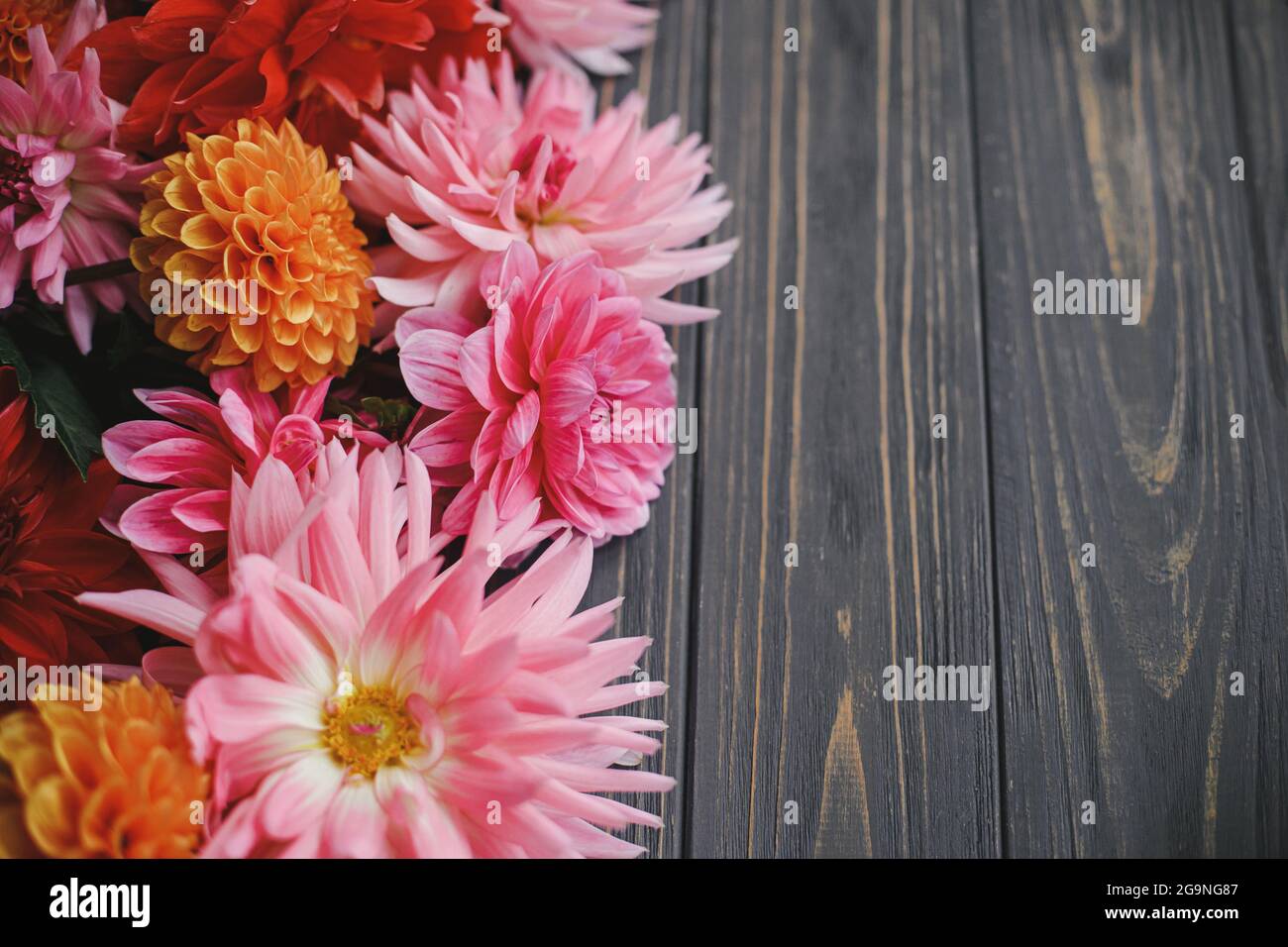 Autumn flowers border on rustic wooden background with space for text