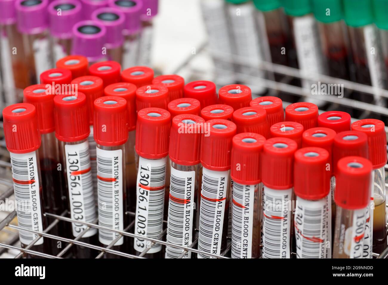 Blood tube for testing in lab¹ratory Stock Photo - Alamy