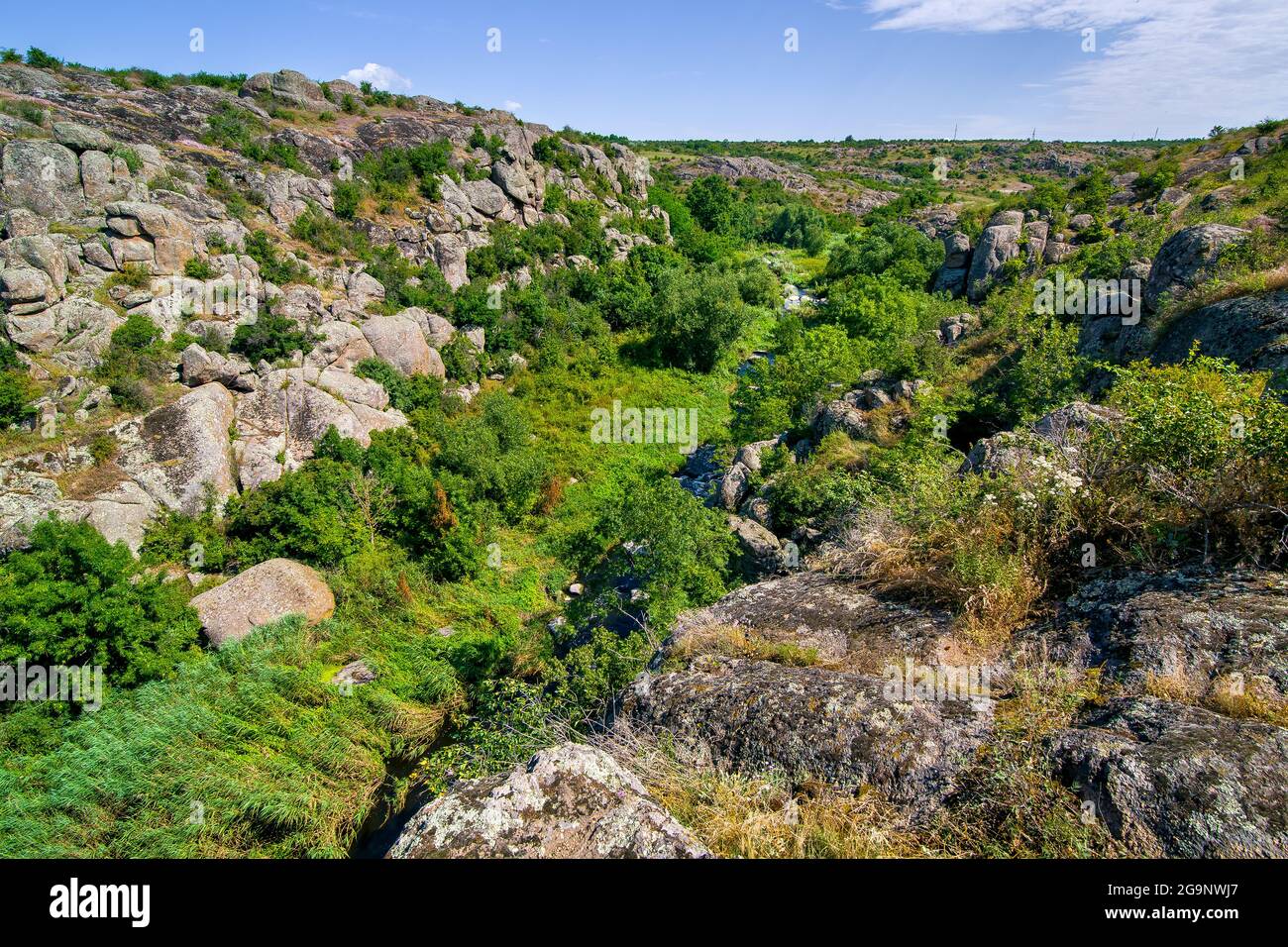 natural landscape of the canyon with granite rocks at the top of the cliff on a sunny summer day, a mountain river and reeds in the valley at the foot Stock Photo