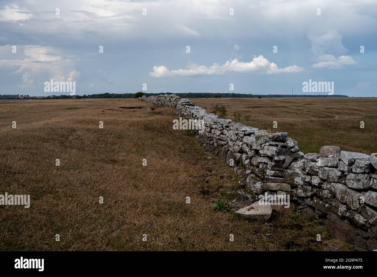 A limestone wall in a moor landscape. Picture from the Baltic Sea island of Oland Stock Photo