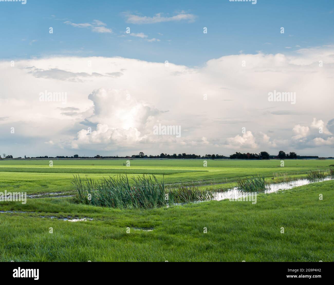 Cumulonimbus storm cloud, anvil cloud, over meadows of polder landscape in Friesland, Netherlands Stock Photo