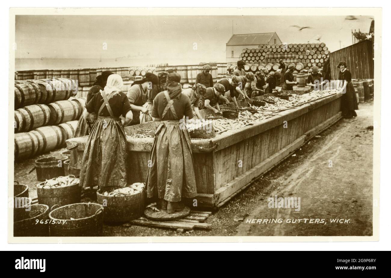 Early 1900's souvenir postcard of women Herring Gutters, Wick, Caithness, Scotland, circa 1920 Stock Photo