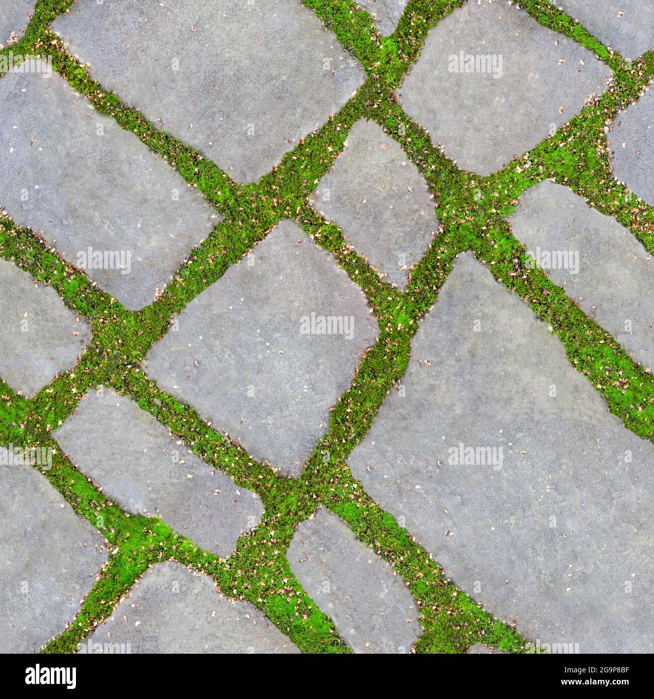 Seamless texture of green grass between the road tiles. The concept of harmonious fusion of the city and nature. Stock Photo
