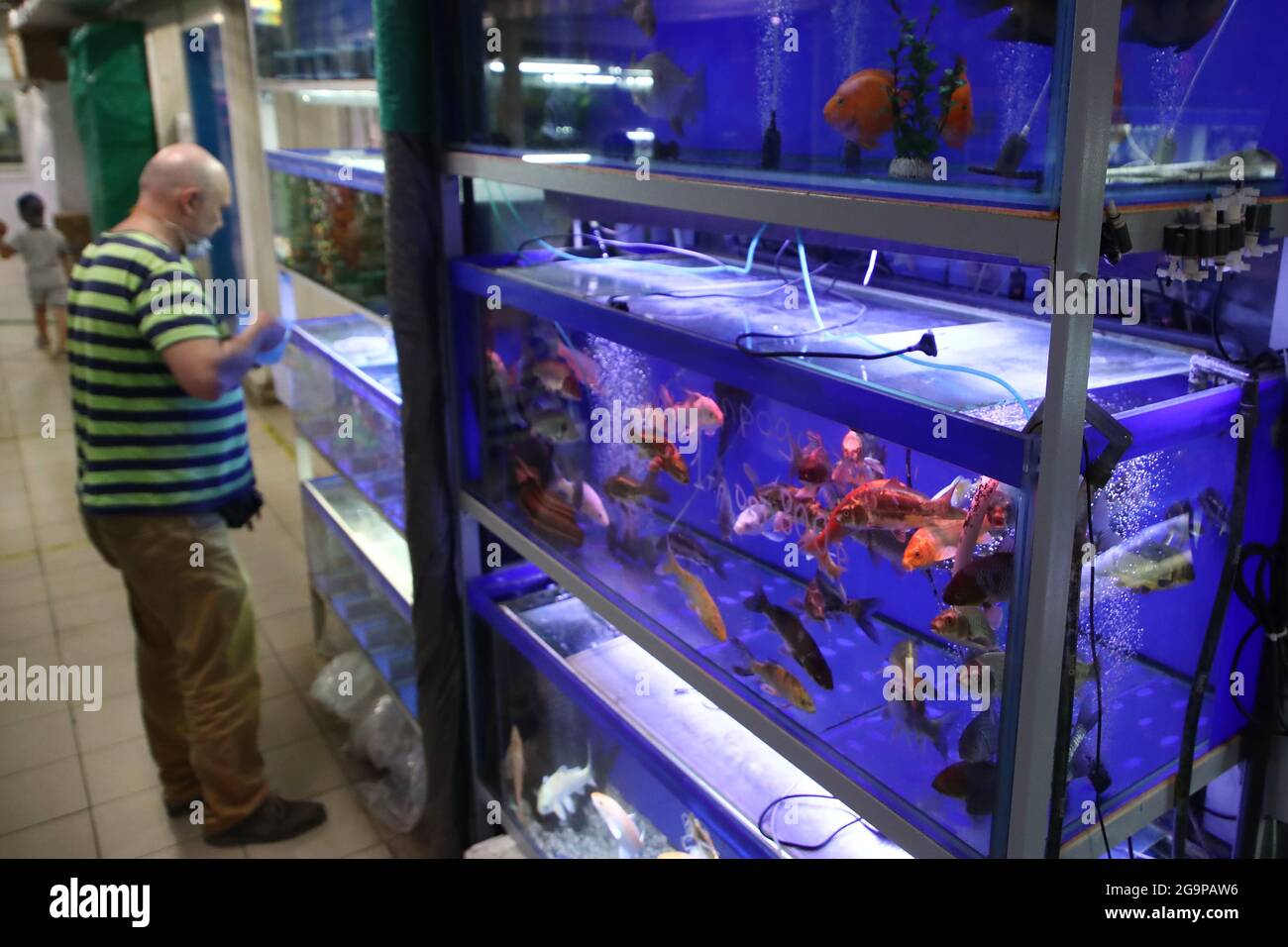 pet sale shop near me