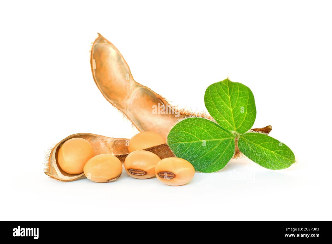 Soybean seeds with soy leaf on white background Stock Photo