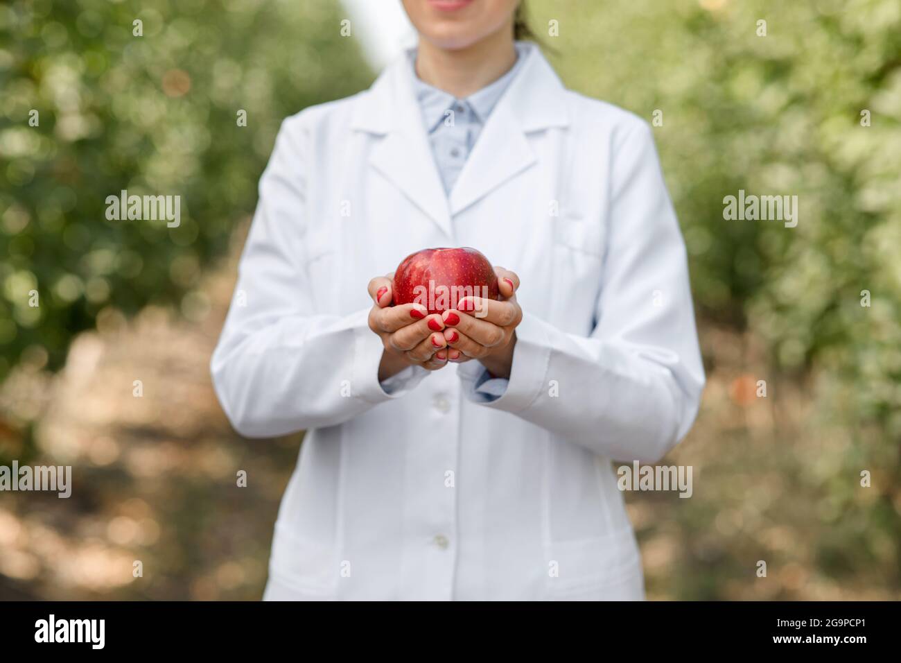 Healthy food, modern eco farm, organic fruits for trade. Agro business outdoor Stock Photo