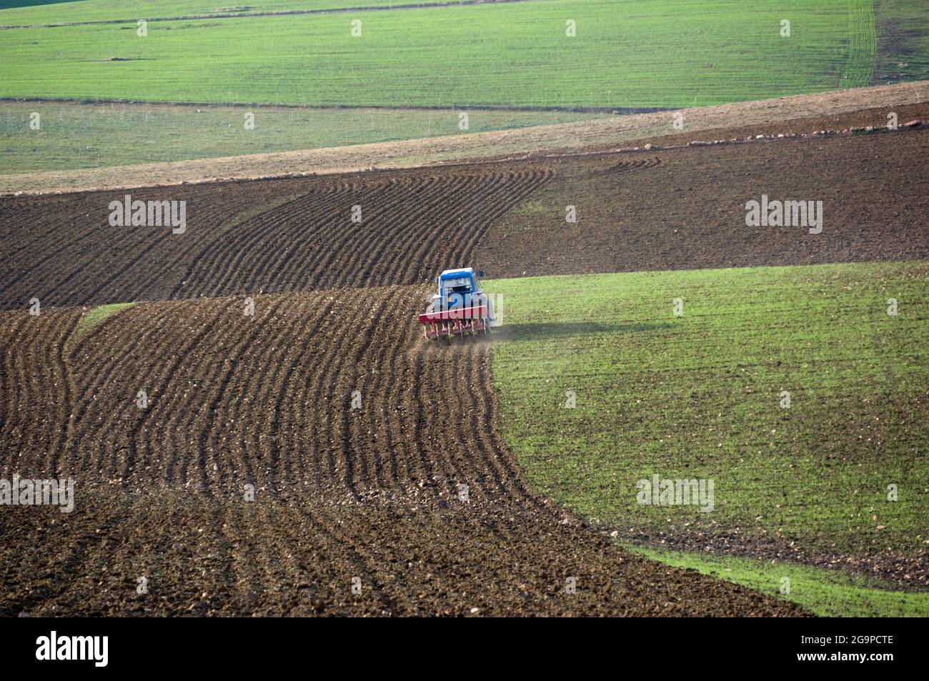 a blue tractor with a plow furrows the earth Stock Photo - Alamy