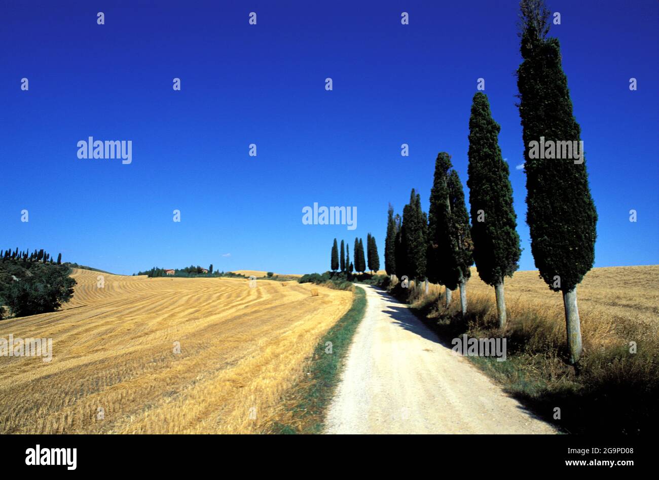 Italy, Tuscany, Sienna province, Crete landscape Stock Photo