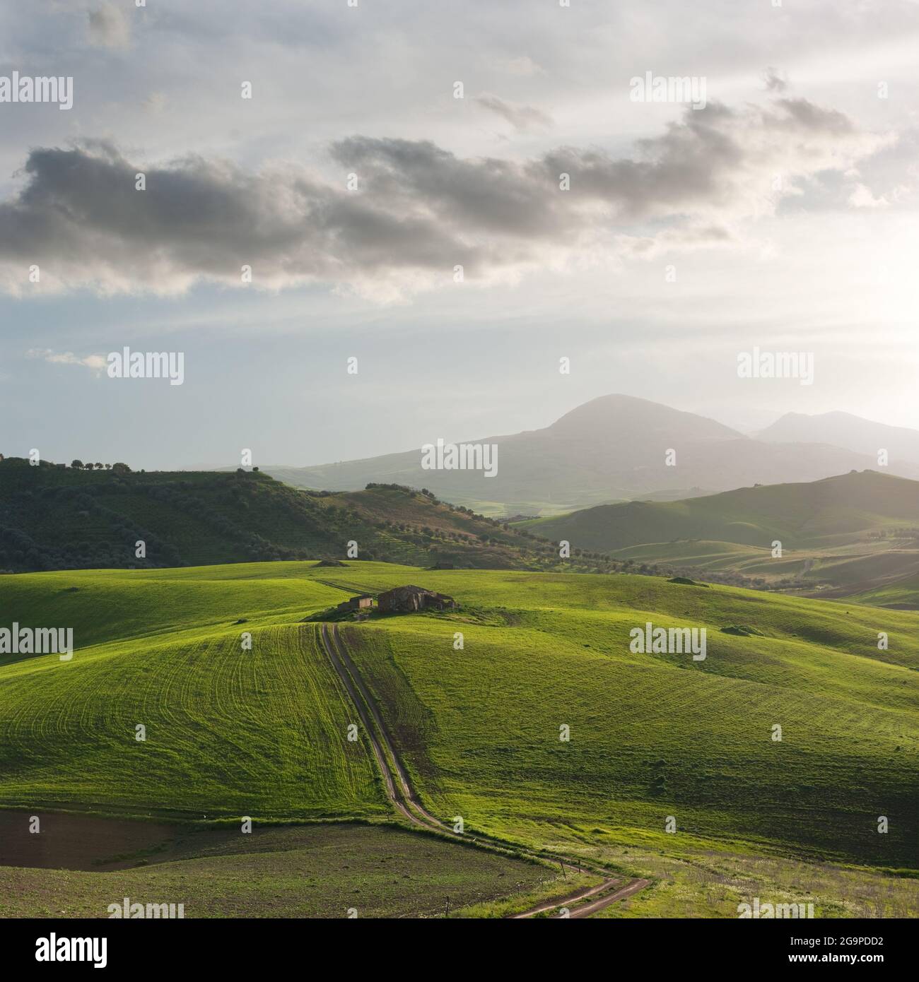 rolling hills of green grass below overcast sky in misty sunset Stock Photo