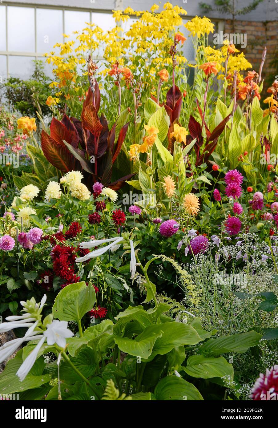 floral display, multicolor flowers, indoors, botanical garden