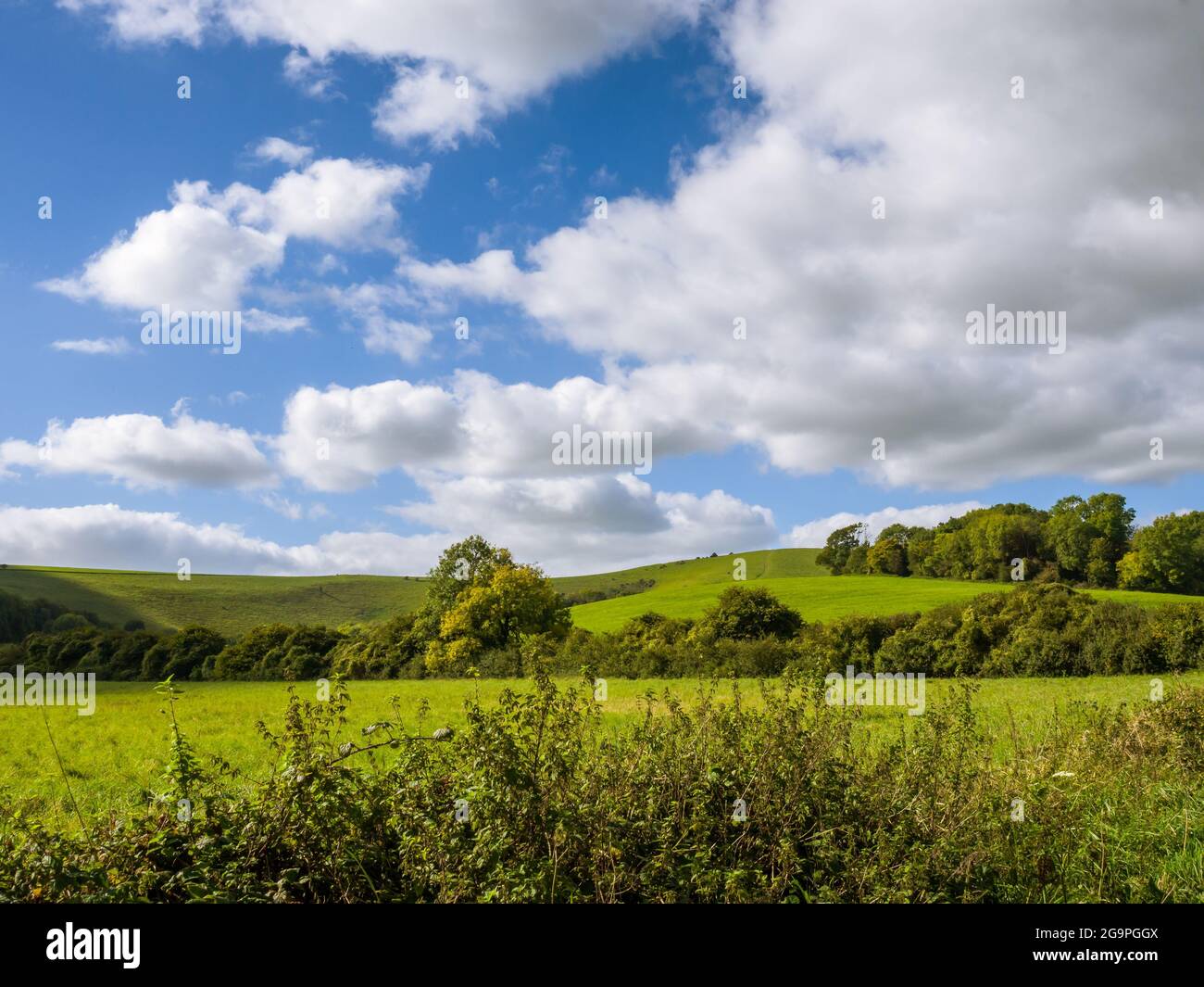 Wolstonbury Hill viewed from the bridleway off New Way Lane, Clayton, Sussex, UK on a sunny autumn day. Stock Photo