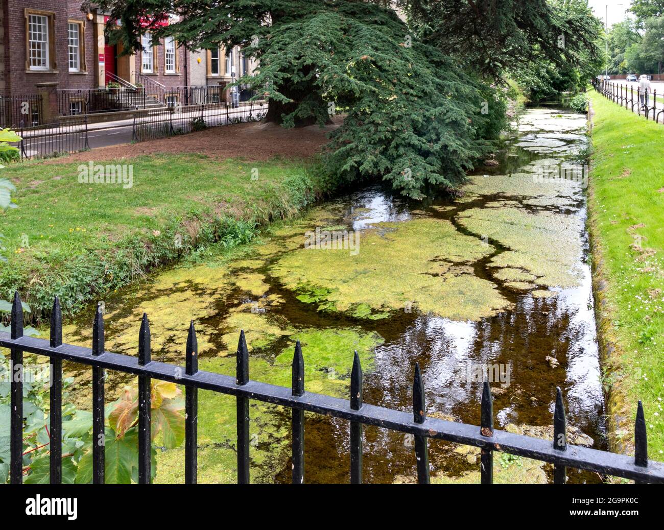CAMBRIDGE ENGLAND STREAM ALONGSIDE TRUMPINGTON ROAD PART OF HOBSON'S