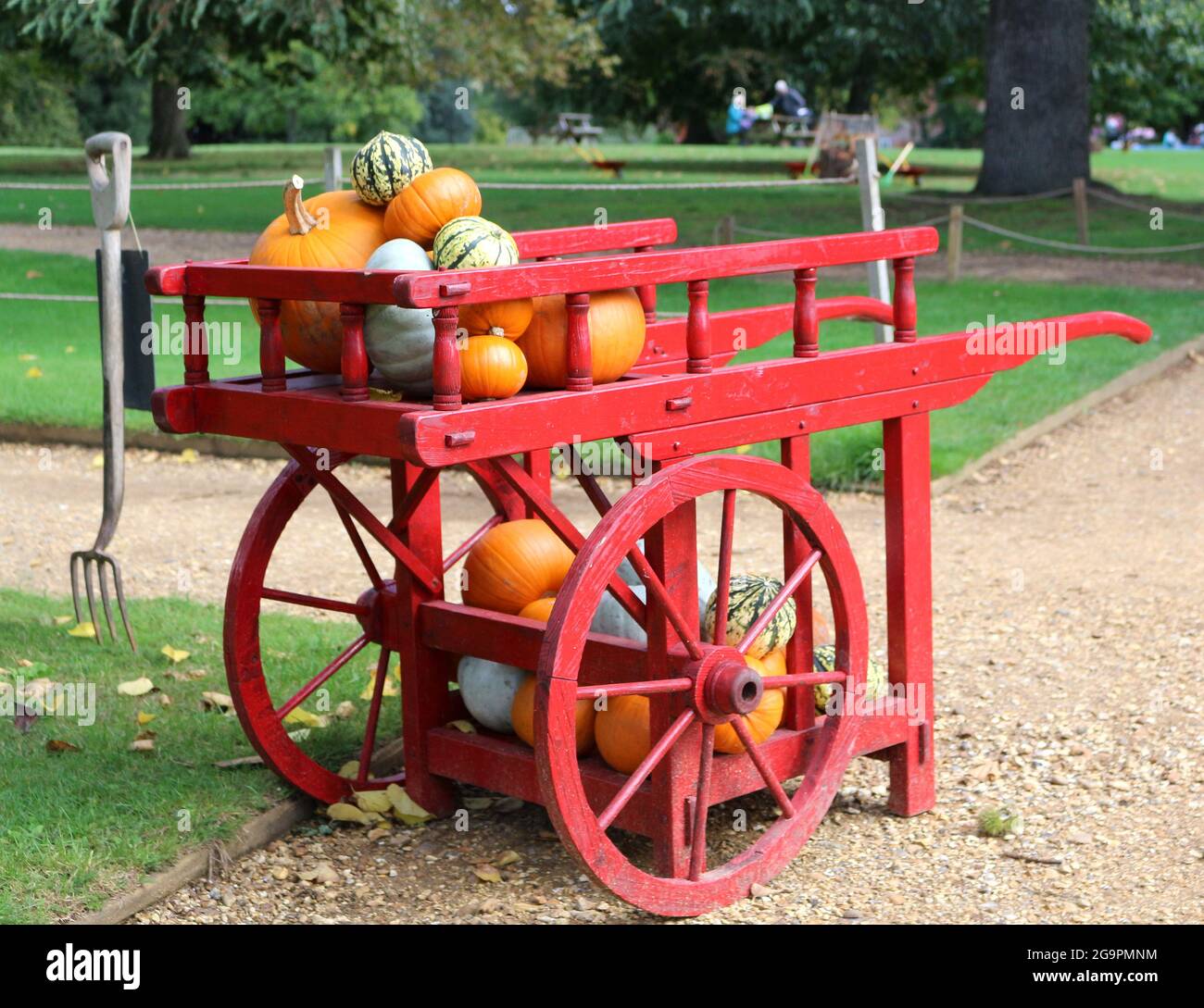 A Red Wooden Cart full of Pumpkins Stock Photo