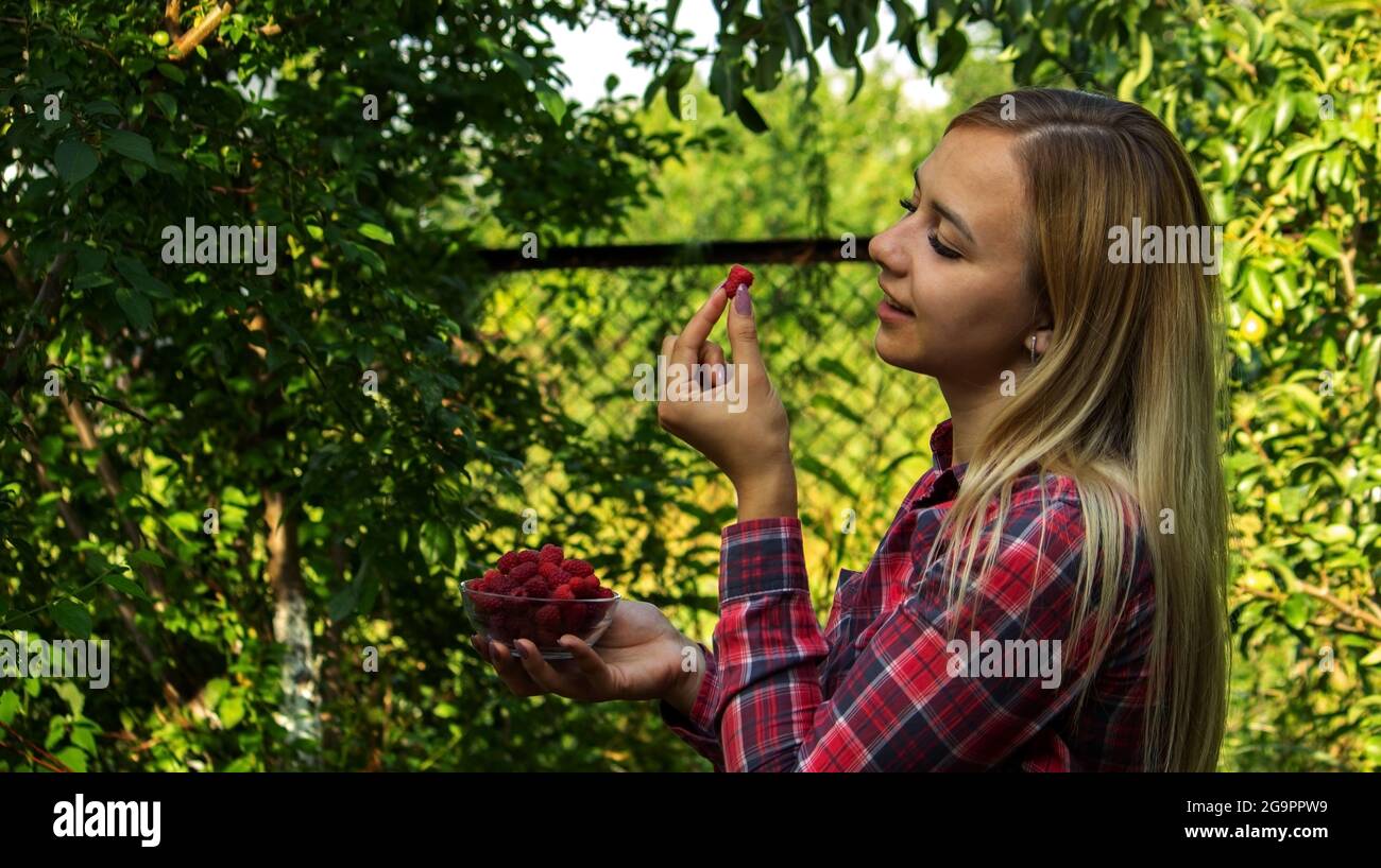 girl holding a bowl with organic product of ripe raspberries on the farm. Selective focus Stock Photo