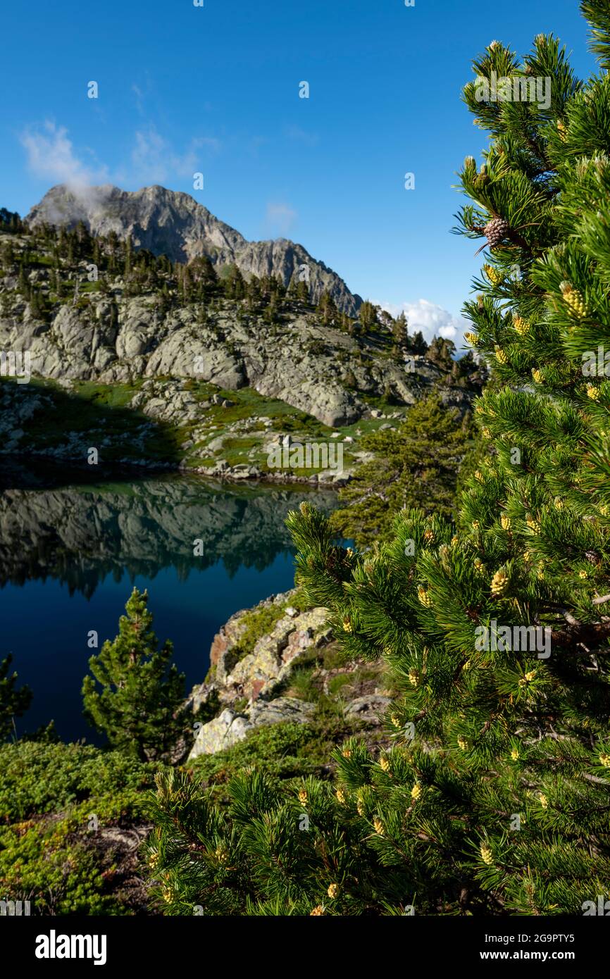 One of the Arriel Lakes, Aragon Pyrenees, Respomuso Valley, Tena Valley, Huesca Province, Aragon, Spain Stock Photo