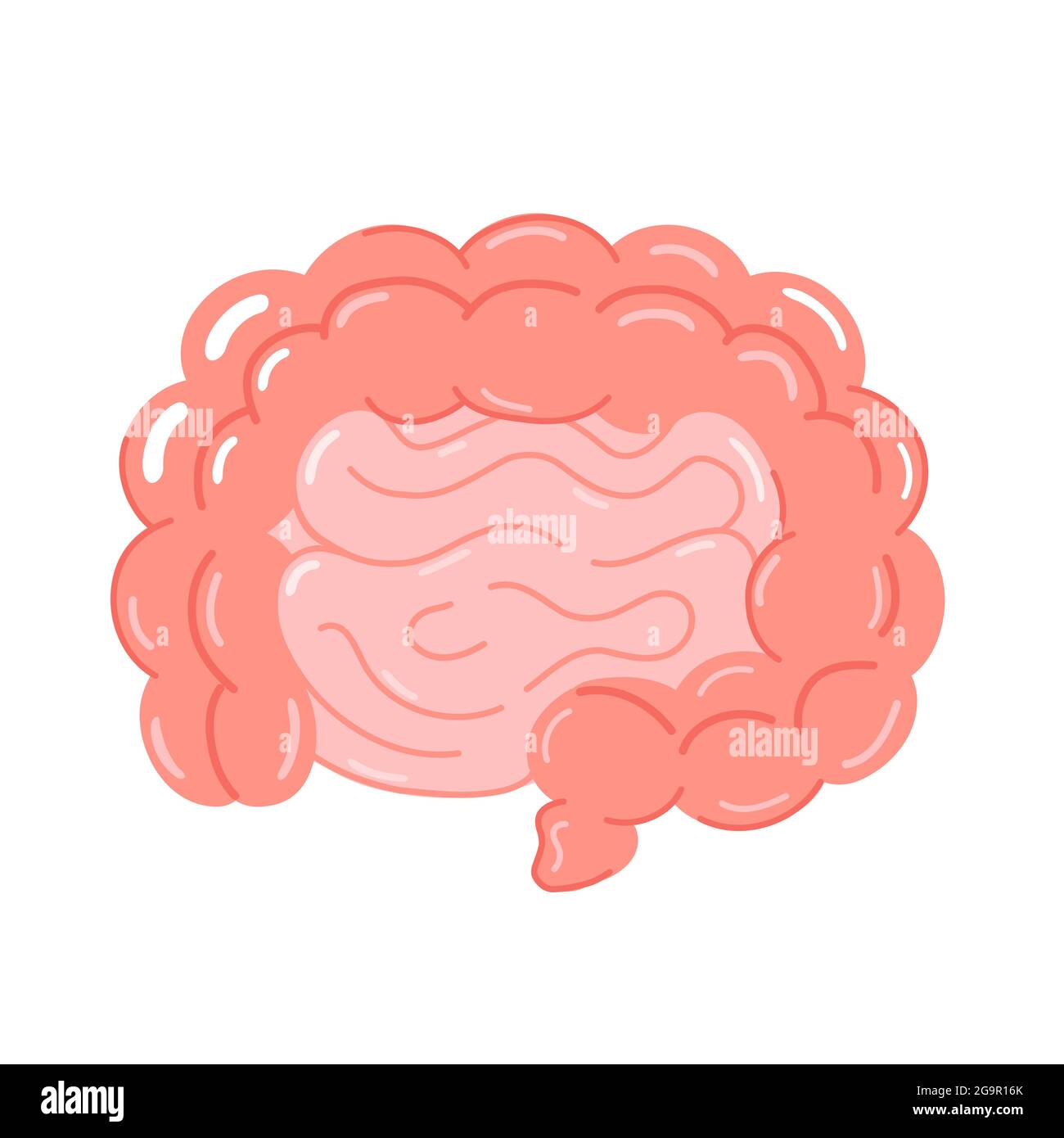 Cute intestine organ. Vector hand drawn cartoon character illustration icon. Isolated on white background. Healthy intestine cartoon icon Stock Vector
