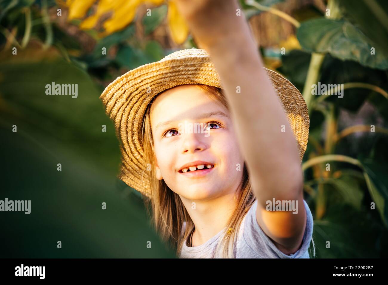 Little girl in a straw hat playing in the sunflower field, children ...