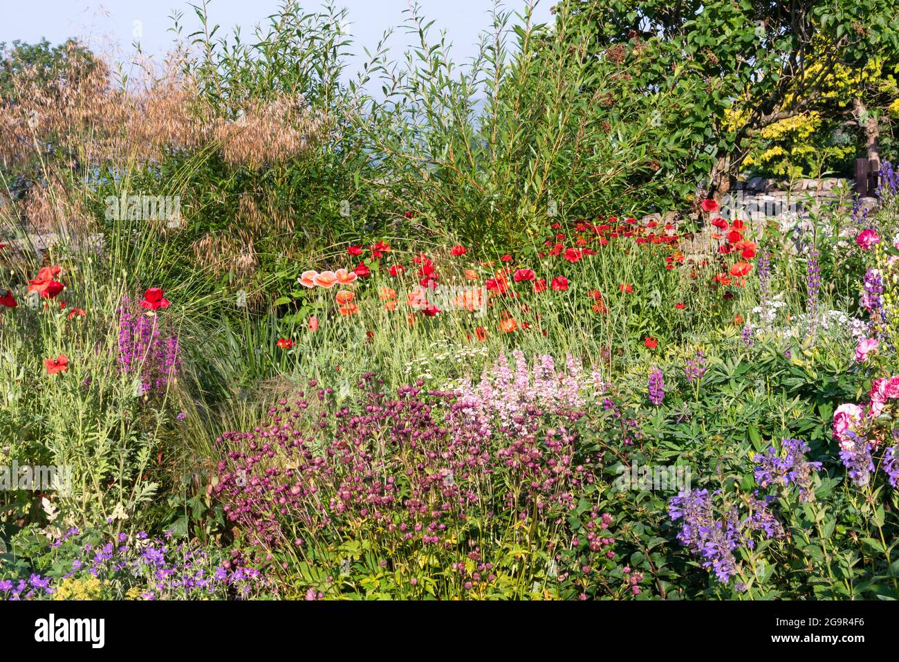 Summer garden border hi-res stock photography and images - Alamy