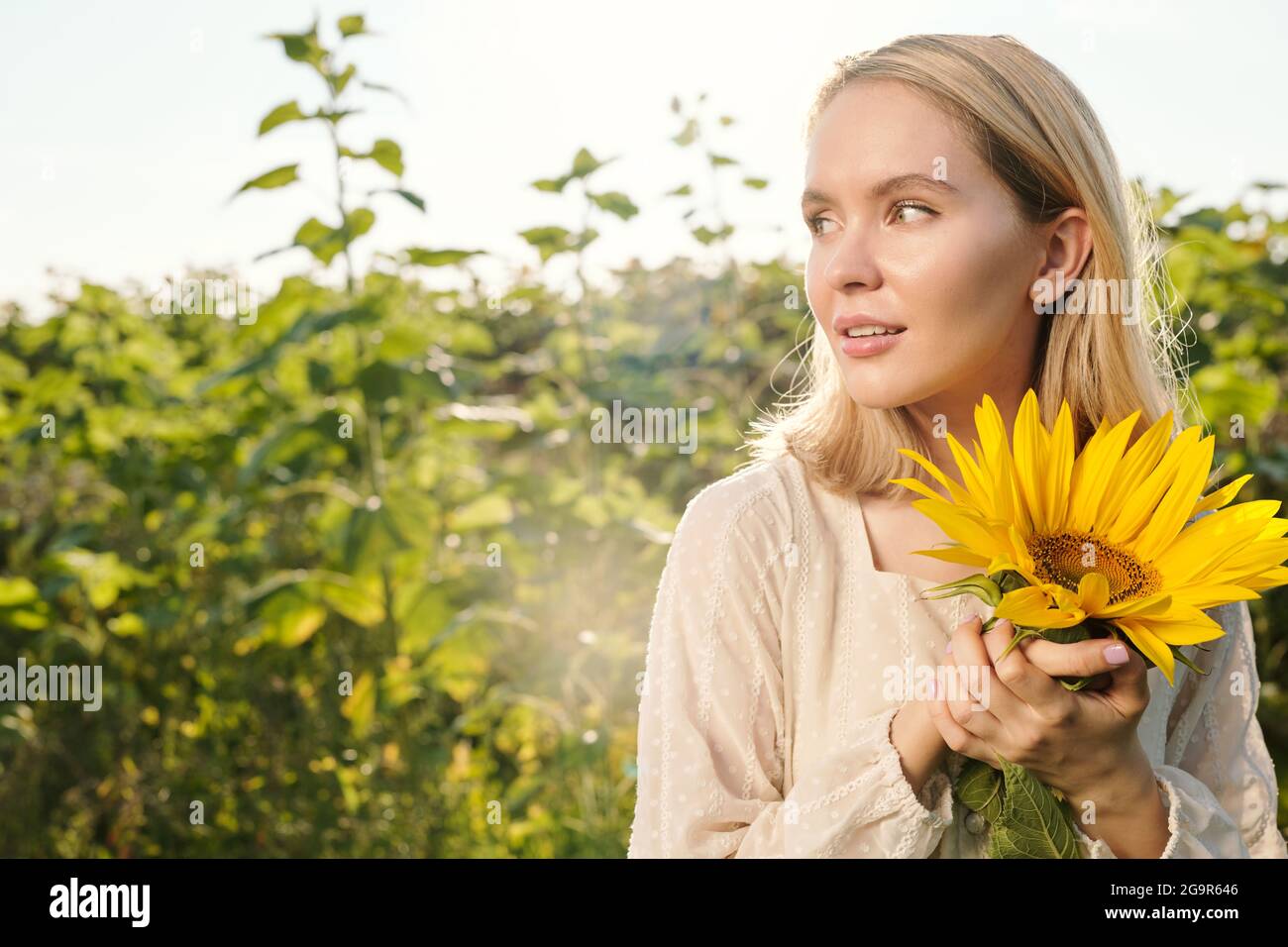 Joyful young blond woman in sunglasses and white dress standing against sunflower field in front of camera with blue sky on background Stock Photo