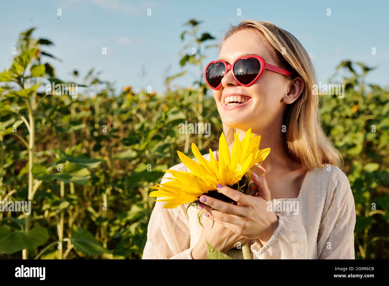 Laughing blond girl in sunglasses and white dress standing by one of sunflowers in front of camera against clear sky on sunny summer day Stock Photo