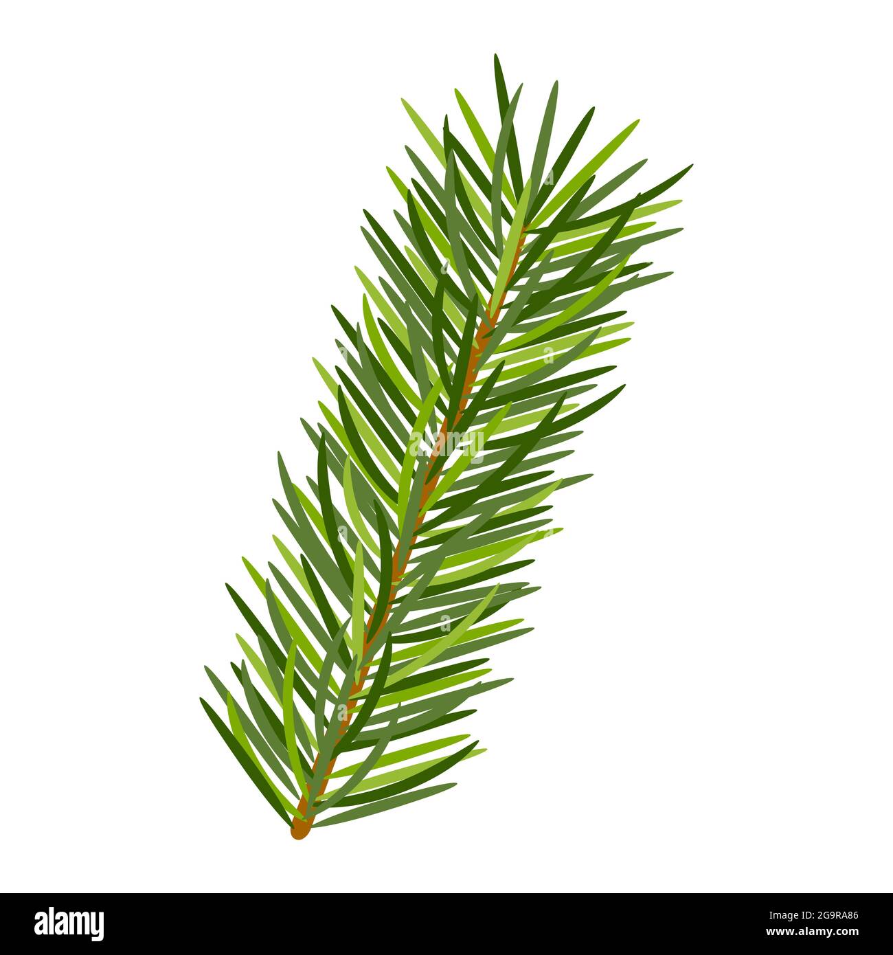Pine branch in white background. Evergreen forest plants. Vector spruce branch. Realistic spruce in flat style. Natural art decoration. Stock Vector
