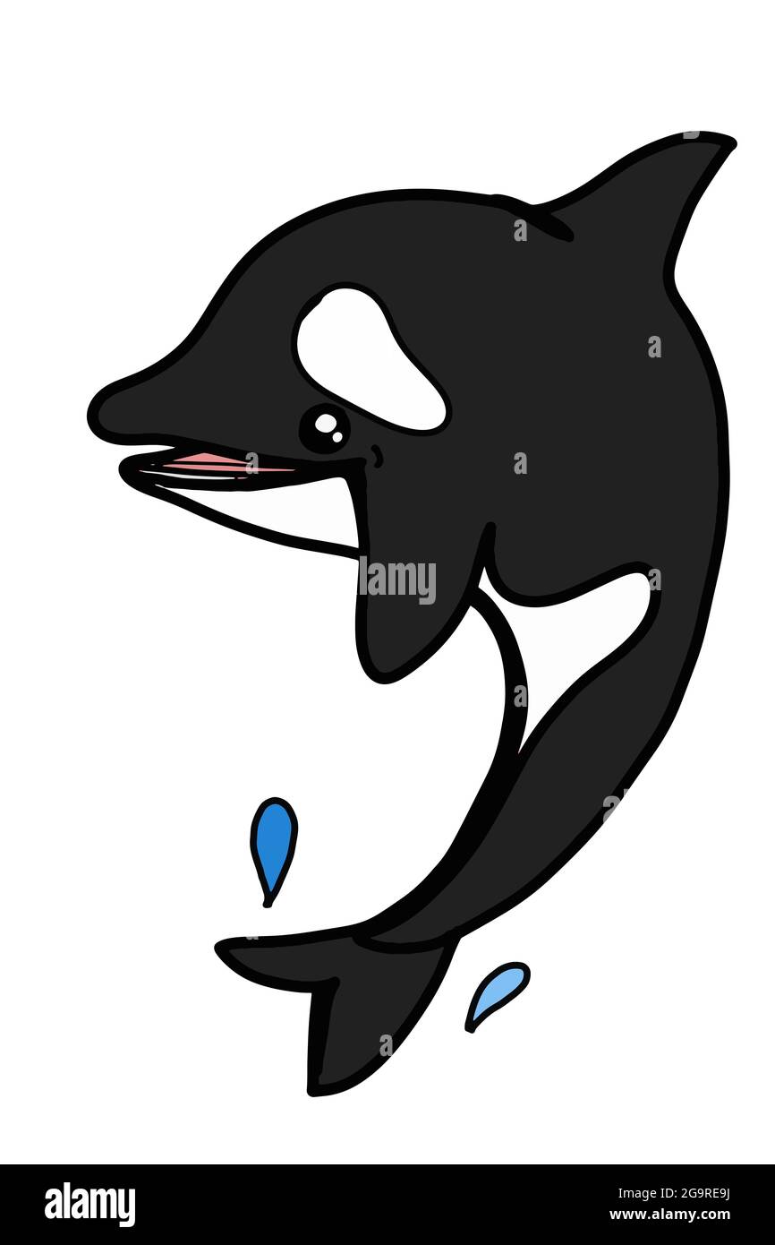 Killer whale wallpaper hi-res stock photography and images - Alamy