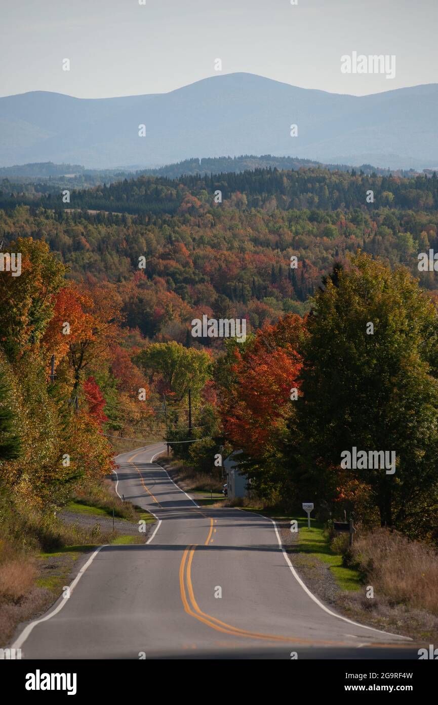 View of fall foliage from Route 145, Clarksville, New Hampshire, USA