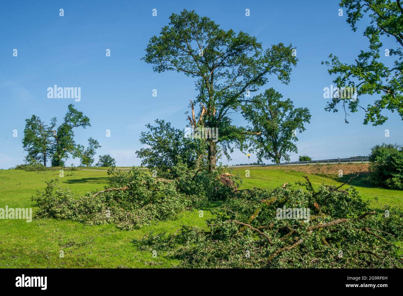 Hagelschaden und Starkregen zerstört Landwirtschaft in Bayern nördlich von Murnau, abgebrochene und entwurzelte Bäume Stock Photo