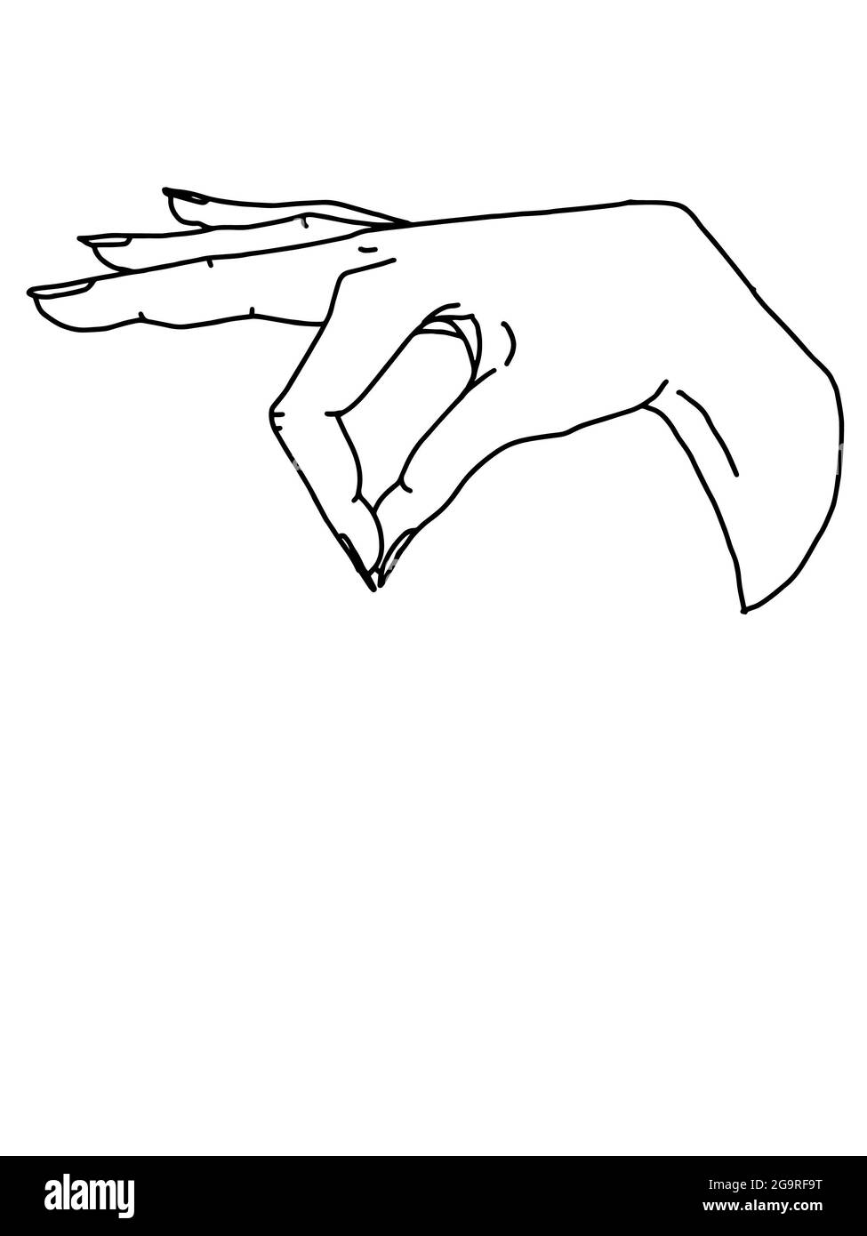 Female  hand ,holding, line drawing illustration Stock Photo