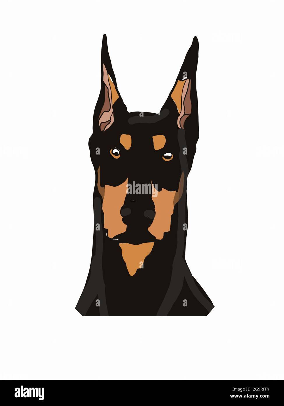 Doberman , pinscher ,realistic head ,drawing,isolated Stock Photo - Alamy