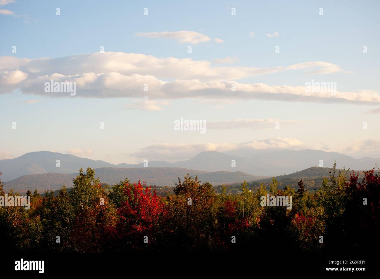 Whitefield hires stock photography and images Alamy