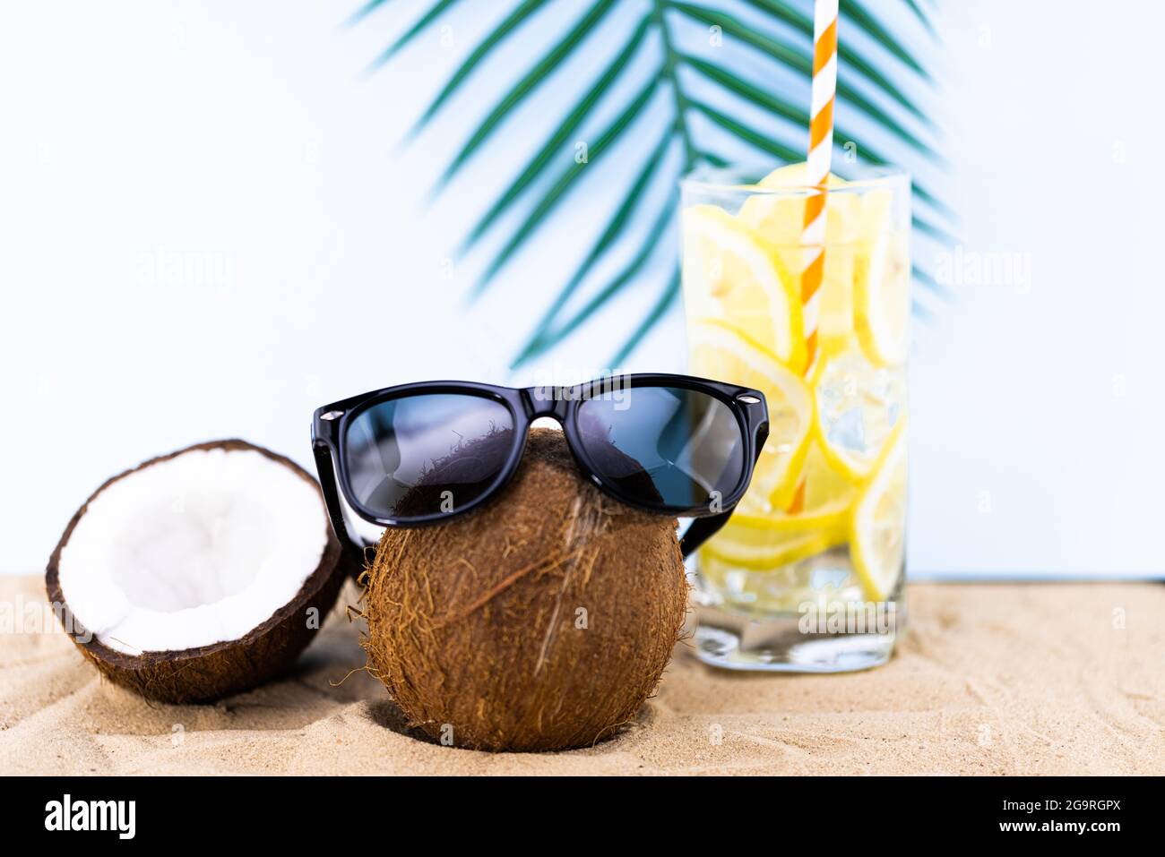 Coconut sunglasses hotsell