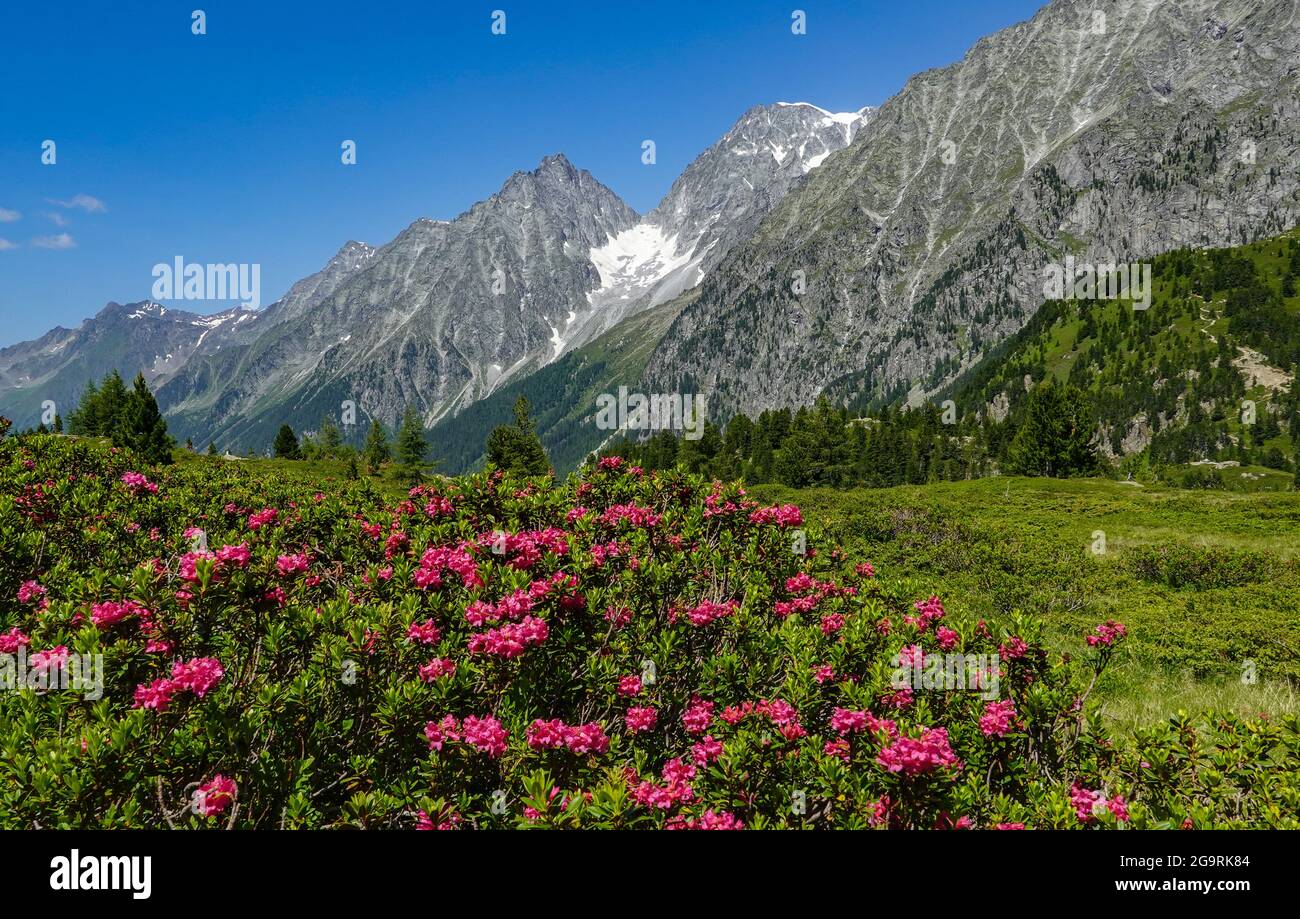 Passo Stalle High Resolution Stock Photography and Images - Alamy