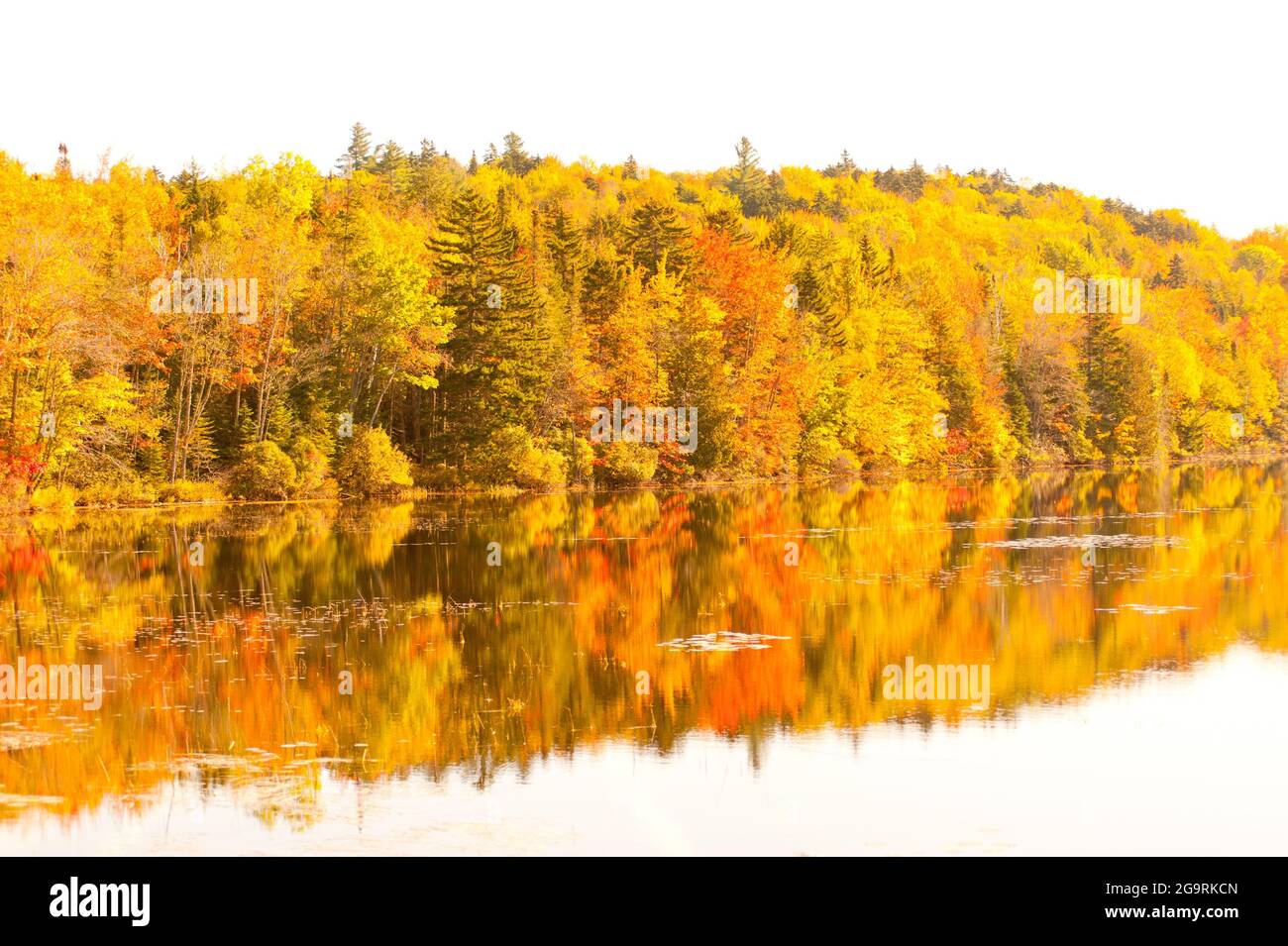 Lake Umbagog, Errol, New Hampshire, USA Stock Photo Alamy