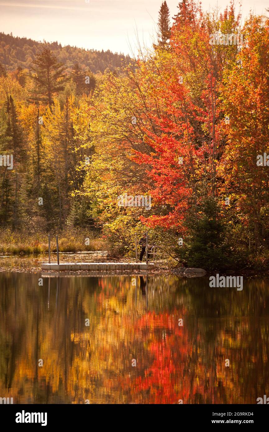 Fall Foliage Beside the Androscoggin River, Errol, New Hampshire, USA